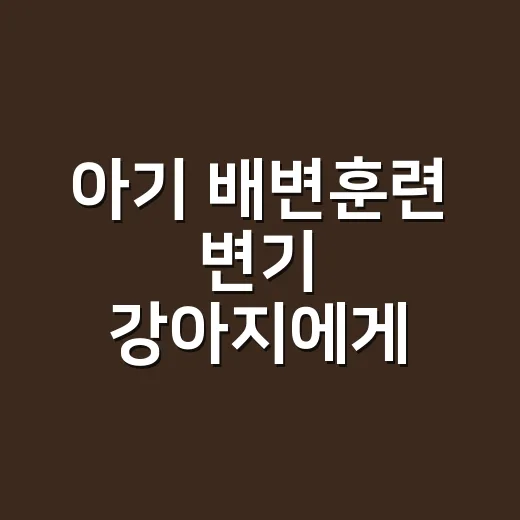 아기 배변훈련 변기 강아지에게 맞게 고르는 방법 - 요약
