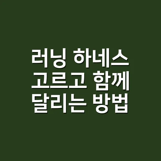 러닝 하네스 고르고 함께 달리는 방법 - 요약