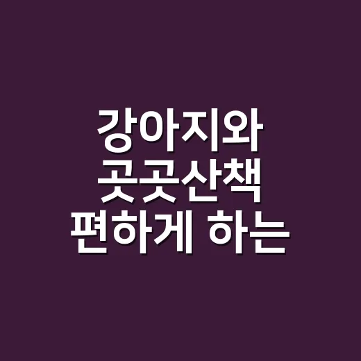 강아지와 곳곳산책 편하게 하는 방법 - 요약