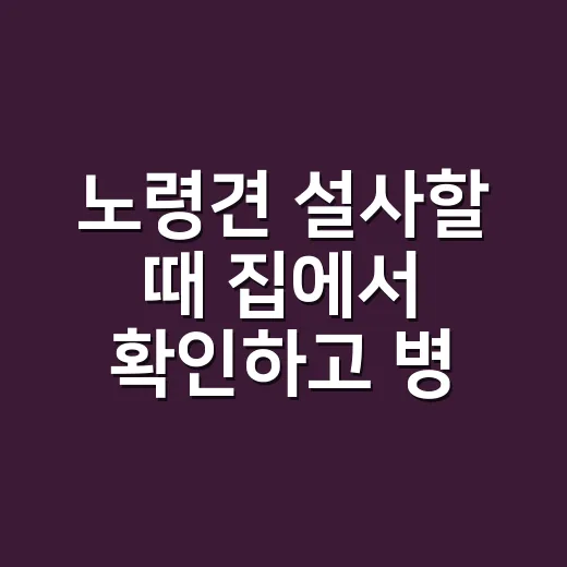 노령견 설사할 때 집에서 확인하고 병원 가는 방법 - 요약