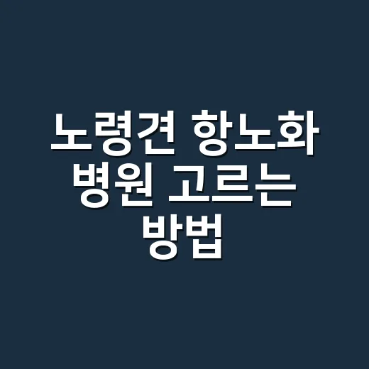 노령견 항노화 병원 고르는 방법 - 요약
