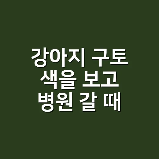 강아지 구토 색을 보고 병원 갈 때 판단하는 방법 - 요약