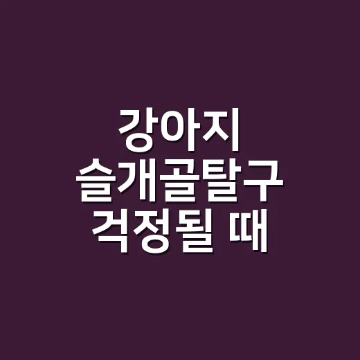 강아지 슬개골탈구 걱정될 때 관리하는 방법 - 요약
