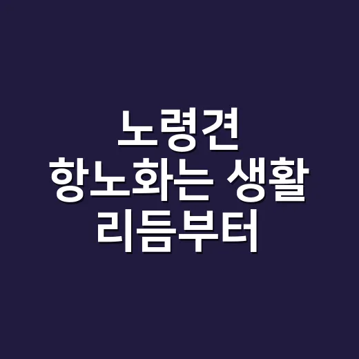 노령견 항노화는 생활 리듬부터 바꾸는 방법 - 요약