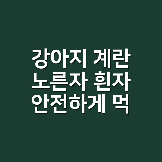 강아지 계란 노른자 흰자 안전하게 먹이는 방법 - 요약