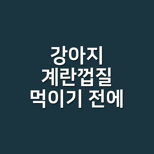 강아지 계란껍질 먹이기 전에 확인하는 방법 - 요약