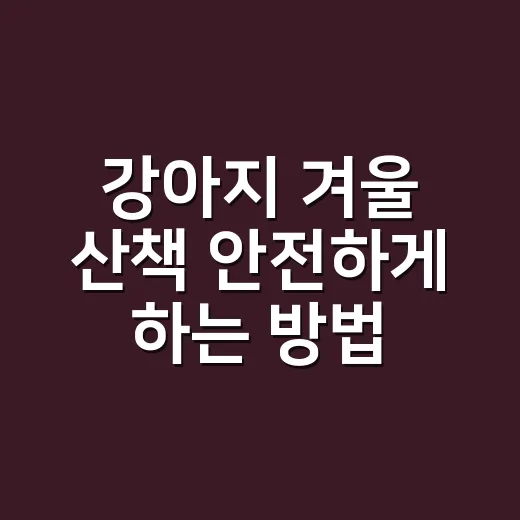 강아지 겨울 산책 안전하게 하는 방법 - 요약