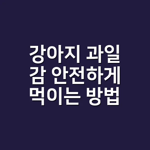 강아지 과일 감 안전하게 먹이는 방법 - 요약