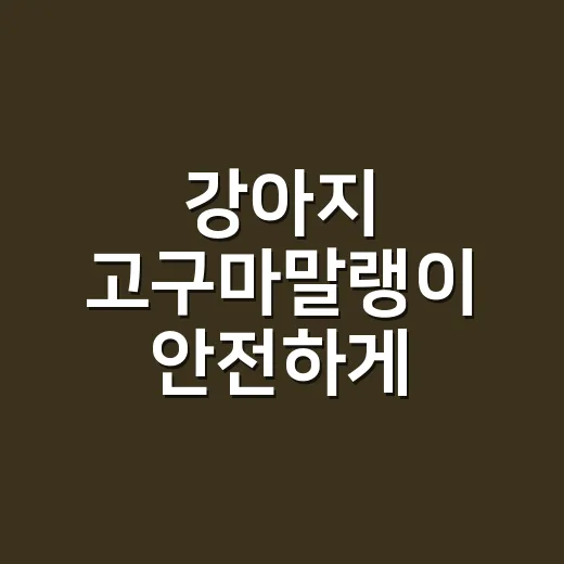 강아지 고구마말랭이 안전하게 만들어 주는 방법 - 요약