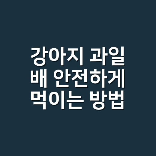 강아지 과일 배 안전하게 먹이는 방법 - 요약