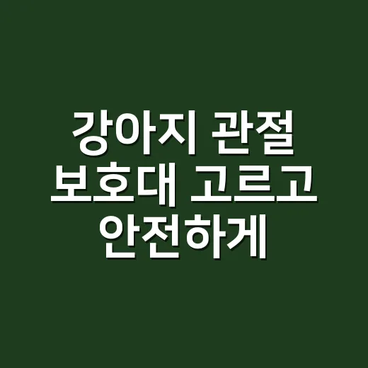 강아지 관절 보호대 고르고 안전하게 쓰는 방법 - 요약