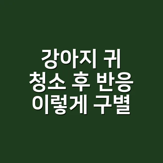 강아지 귀 청소 후 반응 이렇게 구별하세요 - 요약