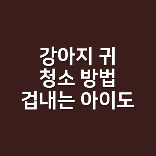 강아지 귀 청소 방법 겁내는 아이도 편하게 하려면 - 요약