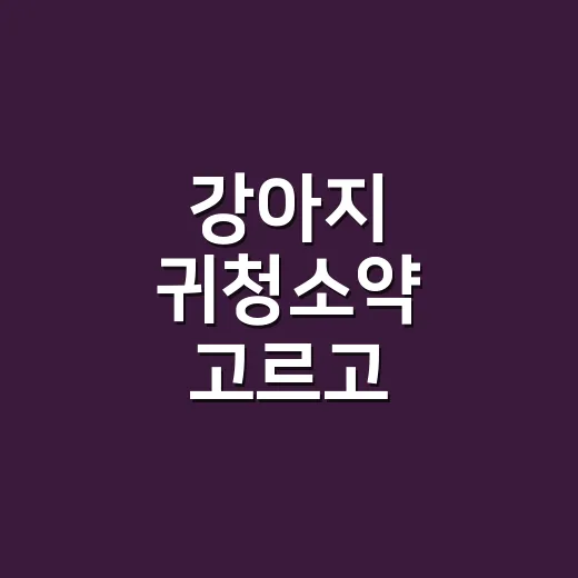 강아지 귀청소약 고르고 안전하게 쓰는 방법 - 요약