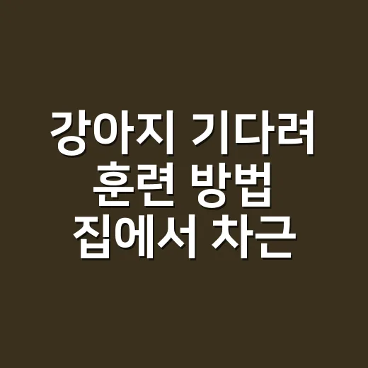 강아지 기다려 훈련 방법 집에서 차근차근 익히기 - 요약