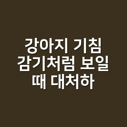 강아지 기침 감기처럼 보일 때 대처하는 방법 - 요약