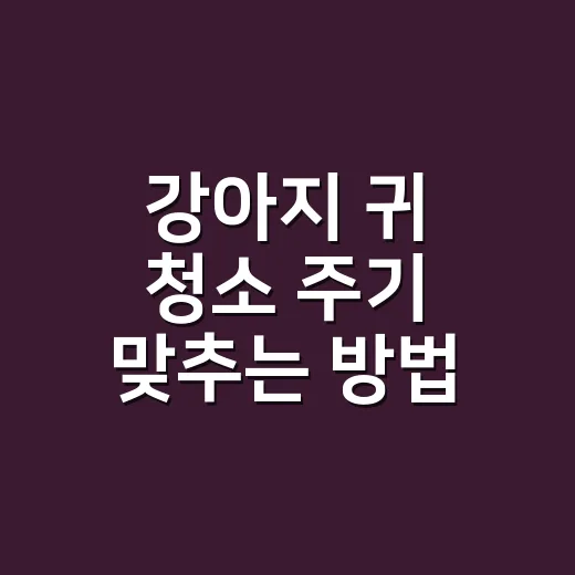 강아지 귀 청소 주기 맞추는 방법 - 요약