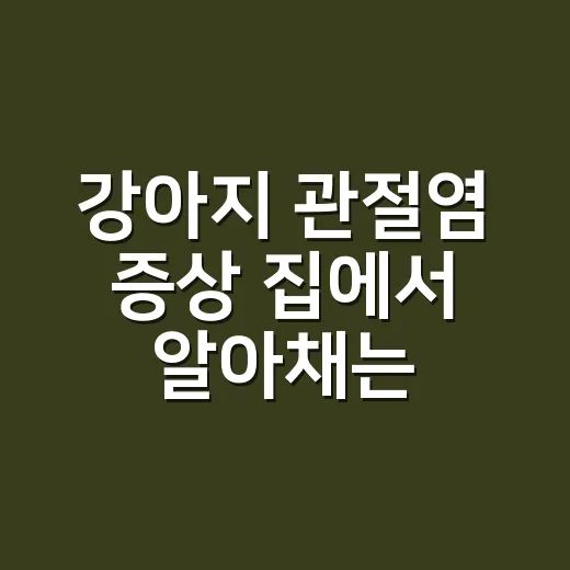 강아지 관절염 증상 집에서 알아채는 방법 - 요약