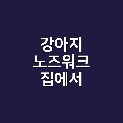 강아지 노즈워크 집에서 시작하는 방법 - 요약