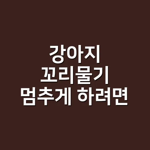 강아지 꼬리물기 멈추게 하려면 먼저 확인할 것 - 요약