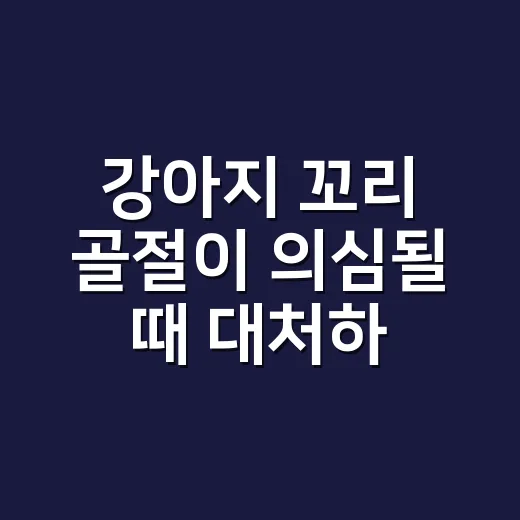 강아지 꼬리 골절이 의심될 때 대처하는 방법 - 요약