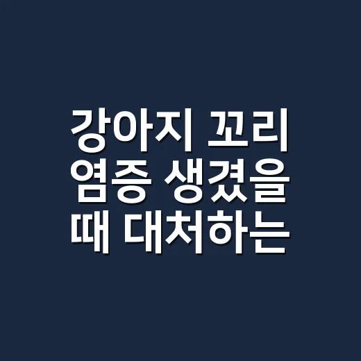 강아지 꼬리 염증 생겼을 때 대처하는 방법 - 요약