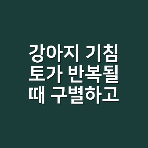 강아지 기침 토가 반복될 때 구별하고 대처하는 방법 - 요약