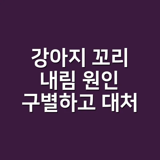 강아지 꼬리 내림 원인 구별하고 대처하는 방법 - 요약