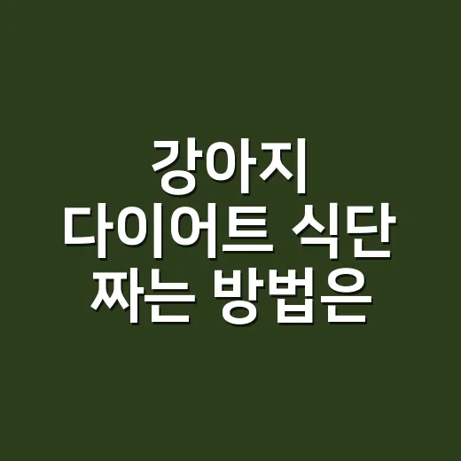 강아지 다이어트 식단 짜는 방법은 간식 기록부터 - 요약