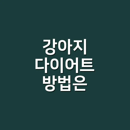 강아지 다이어트 방법은 밥그릇보다 생활표부터 - 요약