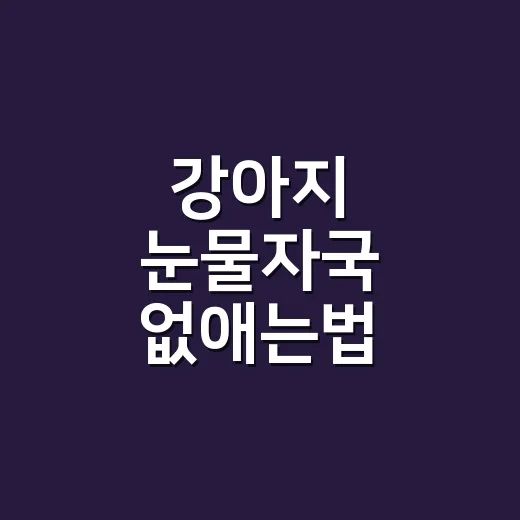 강아지 눈물자국 없애는법 원인부터 바꾸는 방법 - 요약