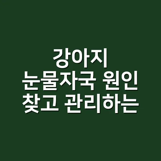 강아지 눈물자국 원인 찾고 관리하는 방법 - 요약