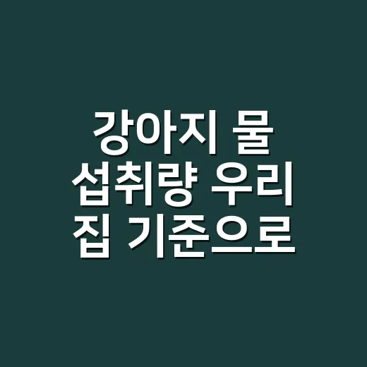 강아지 물 섭취량 우리 집 기준으로 확인하는 방법 - 요약