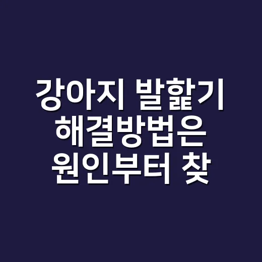 강아지 발핥기 해결방법은 원인부터 찾는 것입니다 - 요약