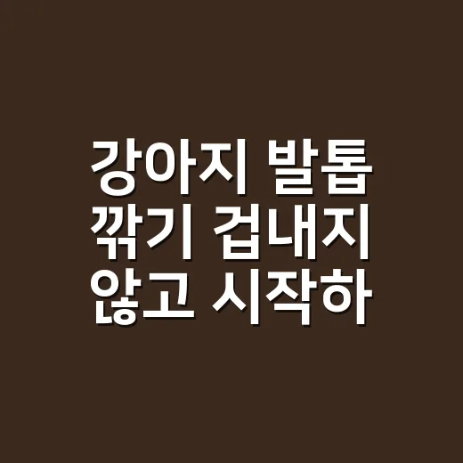 강아지 발톱 깎기 겁내지 않고 시작하는 방법 - 요약
