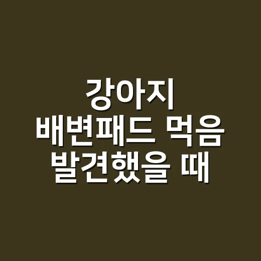 강아지 배변패드 먹음 발견했을 때 대처하는 방법 - 요약