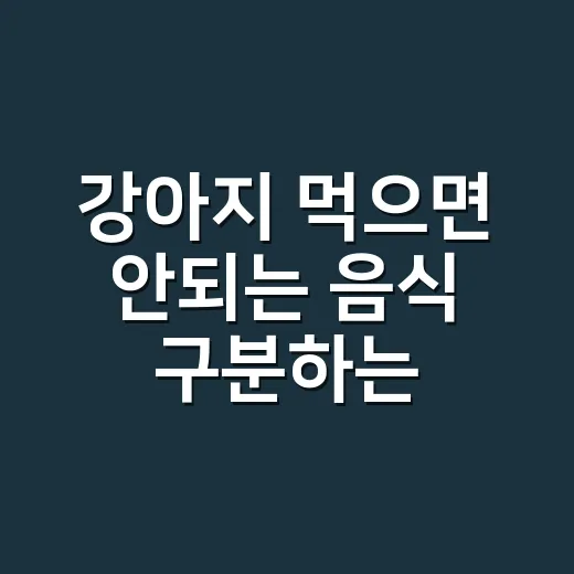 강아지 먹으면 안되는 음식 구분하는 방법 - 요약