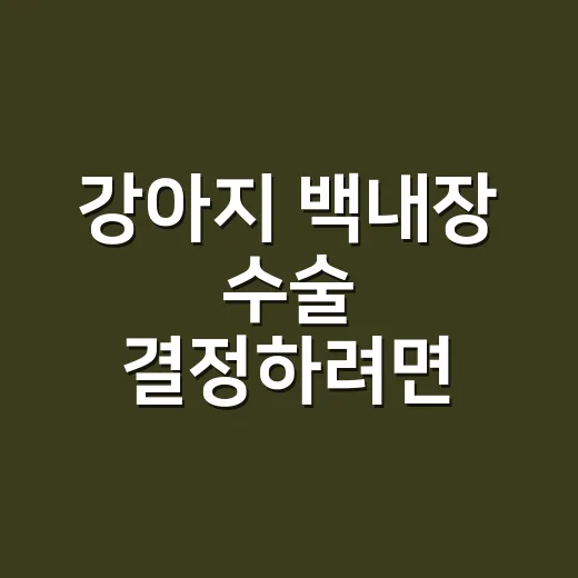 강아지 백내장 수술 결정하려면 이렇게 확인하세요 - 요약