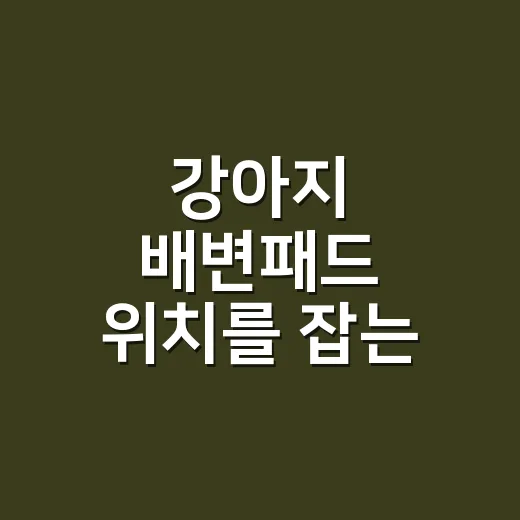 강아지 배변패드 위치를 잡는 방법 - 요약
