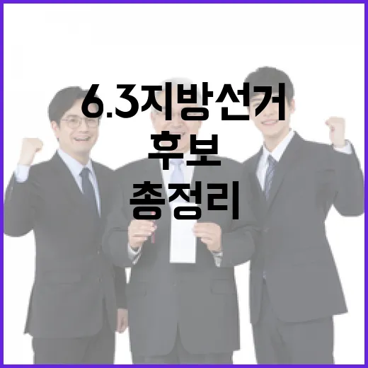 2026 6.3 지방선거 전라남 해남군다선거구 군의원 후보 총정리｜기호·정당·경력 한눈에 (3명)