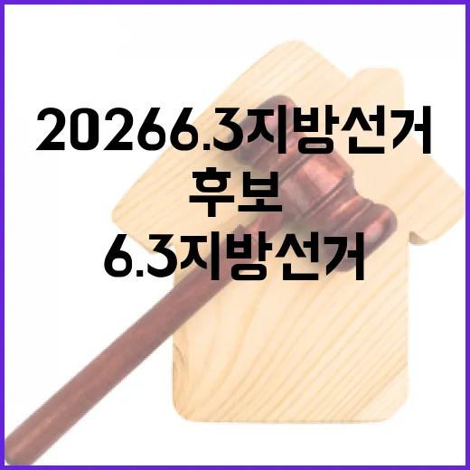 2026 6.3 지방선거 강진군 비례대표 군의원 후보 명단 (정당별, 1명)