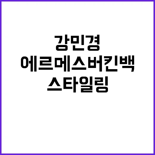 강민경처럼 에르메스…