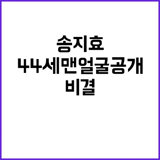 송지효, 44세 맨 얼굴 공개: 자연스러움의 비결 - 요약