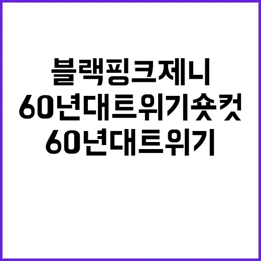 블랙핑크 제니처럼 60년대 트위기 숏컷 도전하기 - 요약