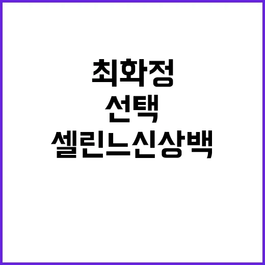최화정이 선택한 셀린느 신상백, 어떻게 스타일링할까? - 요약
