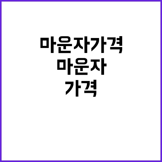 마운자 가격, 어떻게 결정될까요? - 요약