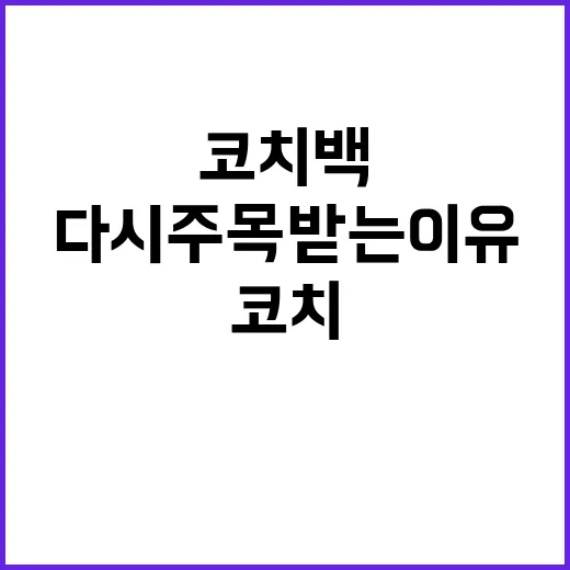 코치백이 다시 주목받는 이유와 스타일링 방법 - 요약
