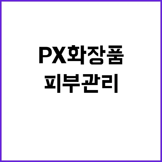 px 화장품으로 피부 관리하는 방법 - 요약