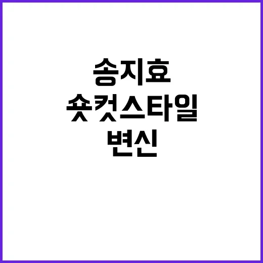 송지효 여자 숏컷 스타일로 변신하는 방법 - 요약