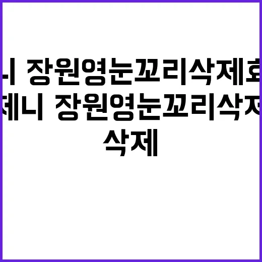 제니·장원영 눈꼬리 삭제 효과로 매력적인 눈매 만드는 방법 - 요약